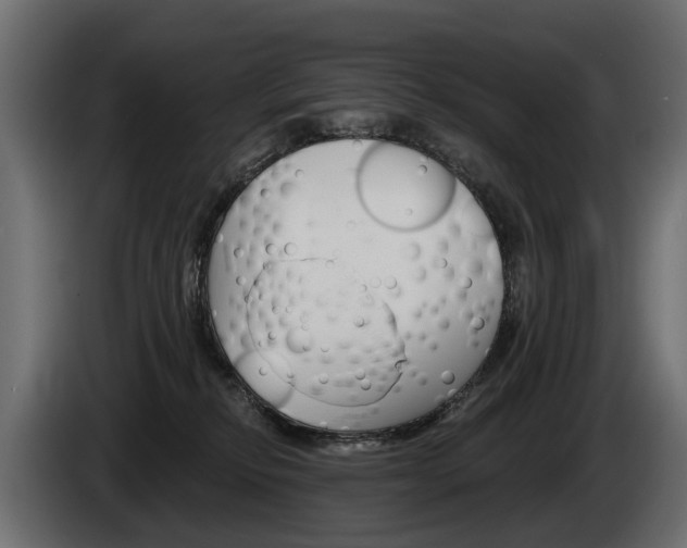 X0000085040278200703051031