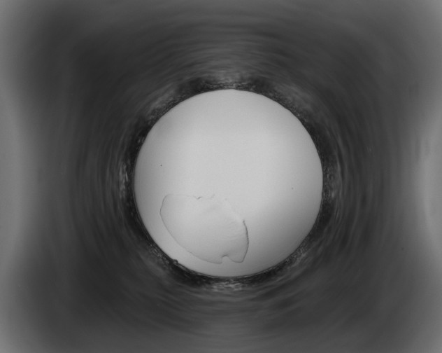 X0000085040279200703051031
