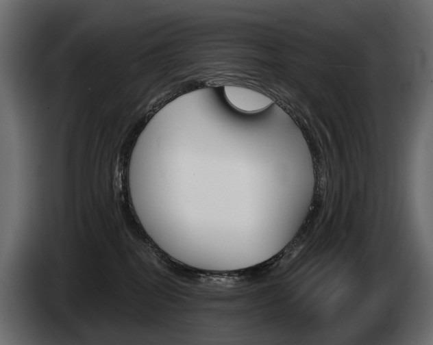 X0000085040282200703051031