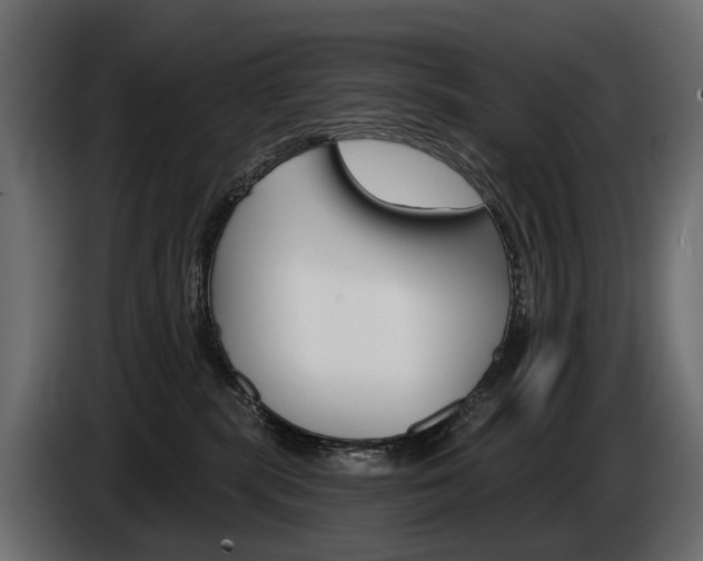 X0000085040283200703051031
