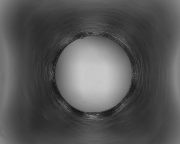 X0000085040285200703051031