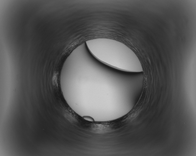 X0000085040286200703051031