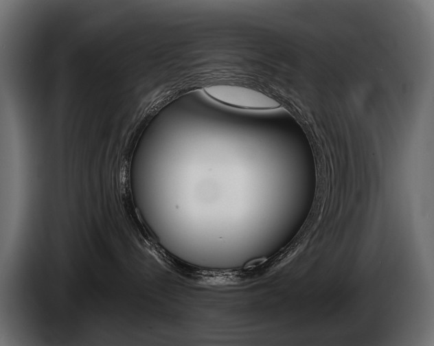 X0000085040288200703051031