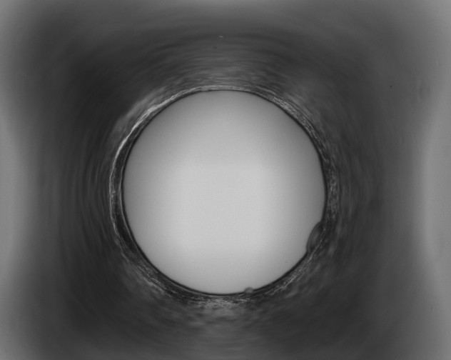 X0000085040290200703051031