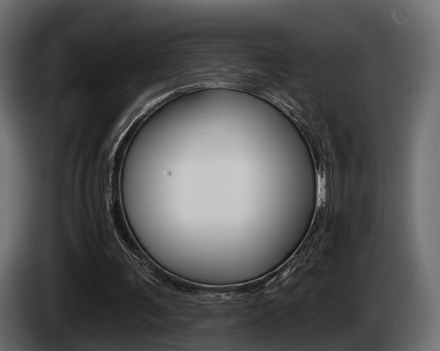 X0000085040291200703051030