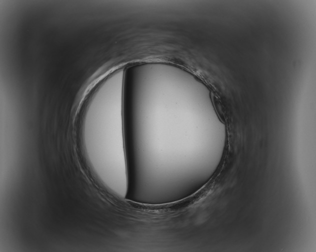 X0000085040295200703051030