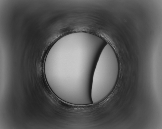 X0000085040298200703051030