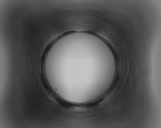 X0000085040303200703051030