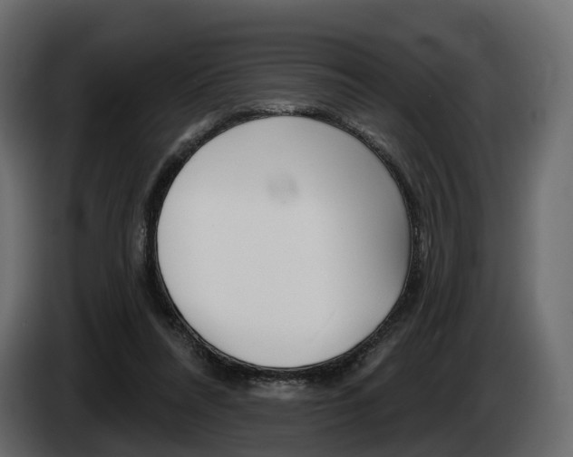 X0000085040304200703051030