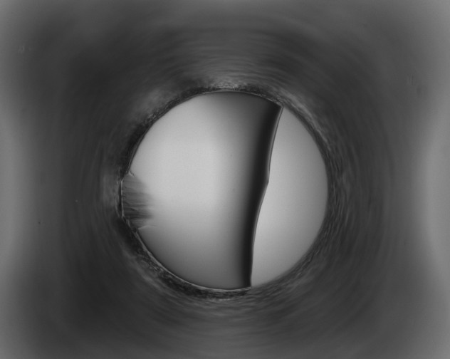 X0000085040307200703051030