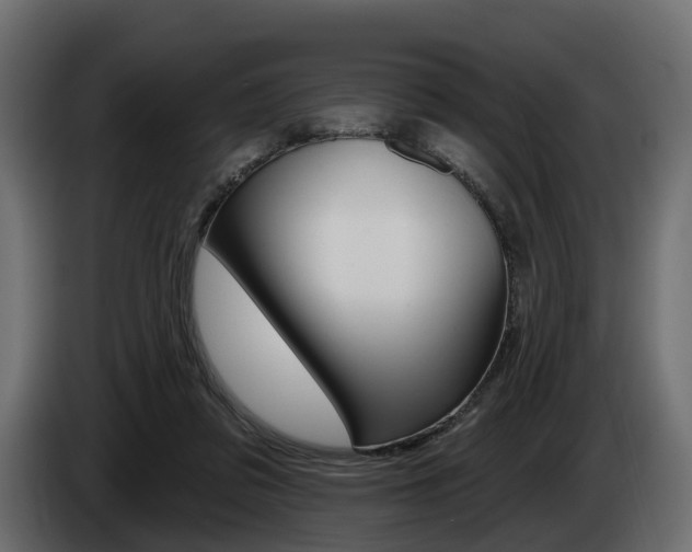 X0000085040309200703051030
