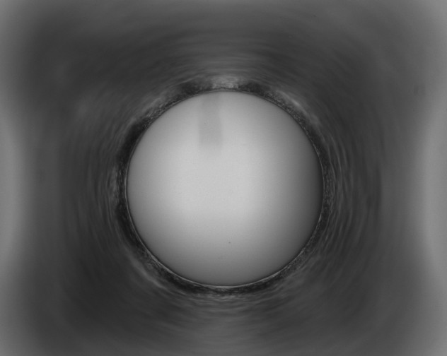 X0000085040311200703051030