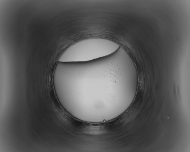 X0000085040314200703051030