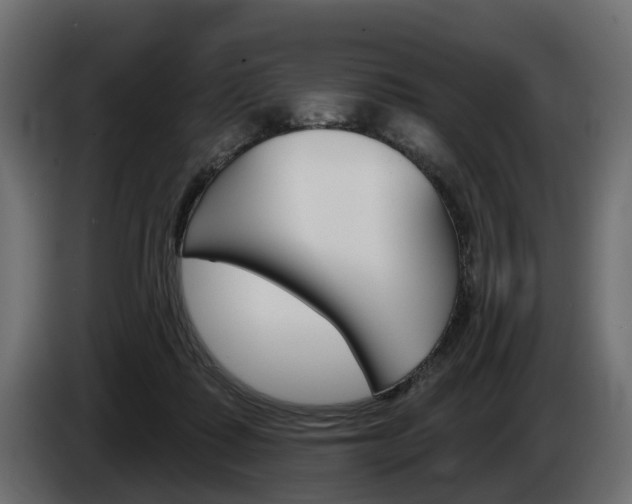 X0000085040315200703051030