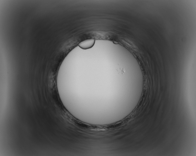 X0000085040318200703051030