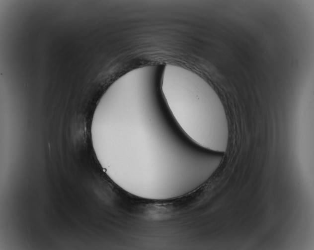 X0000085040320200703051030