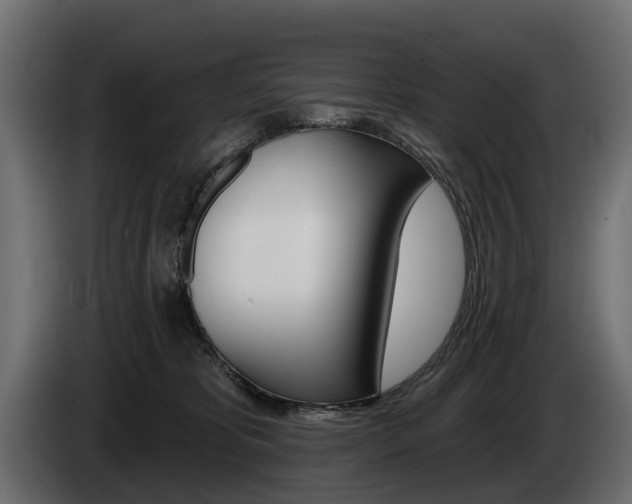 X0000085040325200703051030