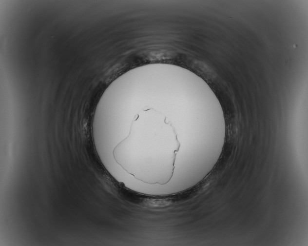 X0000085040327200703051030