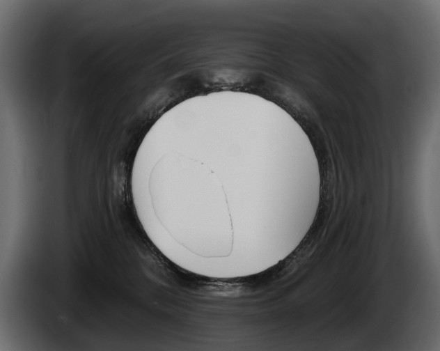 X0000085040328200703051030