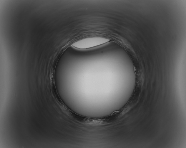 X0000085040329200703051030