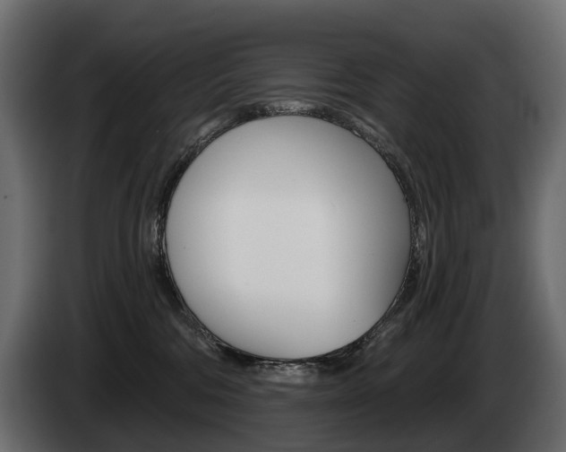 X0000085040330200703051030