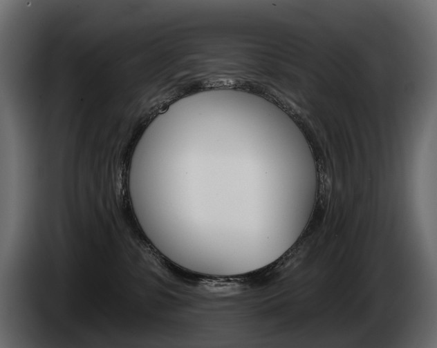 X0000085040331200703051030