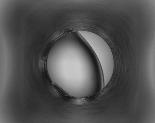X0000085040333200703051030