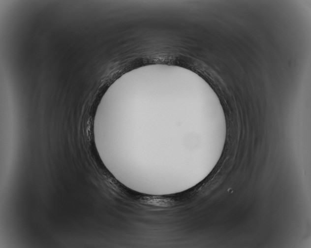 X0000085040336200703051030