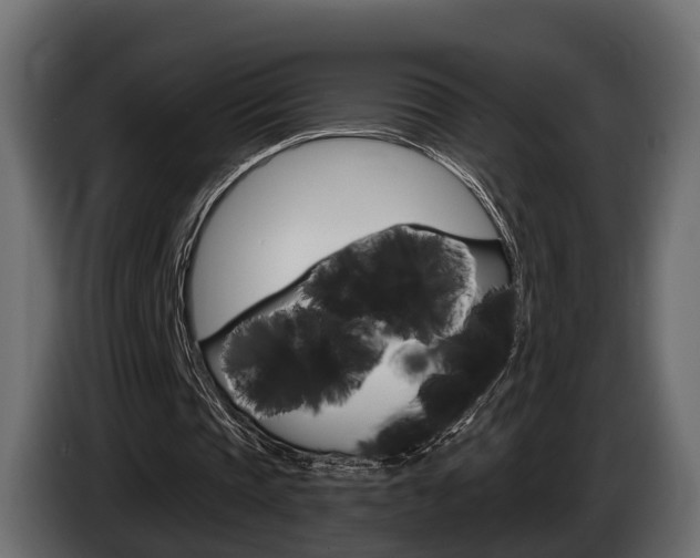 X0000085040337200703051029