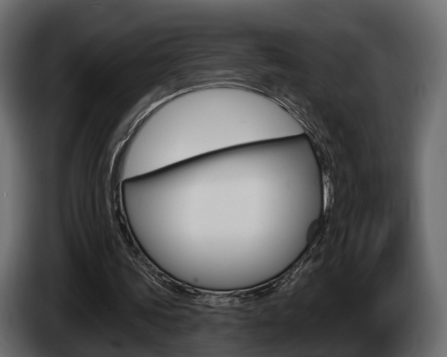 X0000085040339200703051029