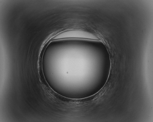 X0000085040340200703051029