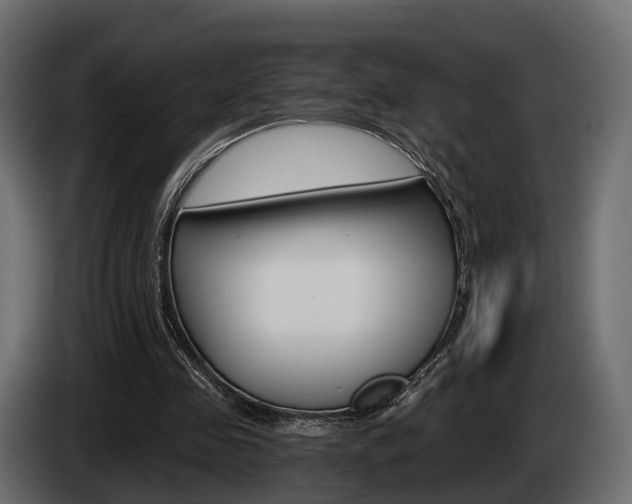X0000085040341200703051029