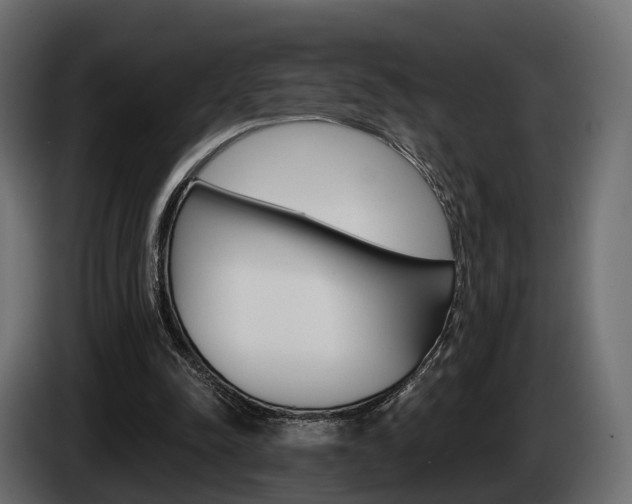 X0000085040342200703051029