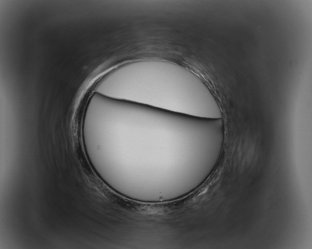 X0000085040343200703051029