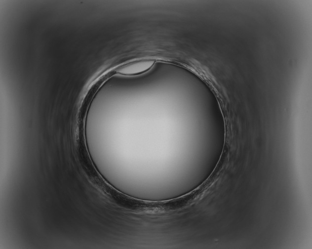 X0000085040344200703051029