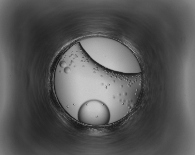X0000085040346200703051029