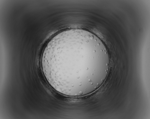 X0000085040347200703051029