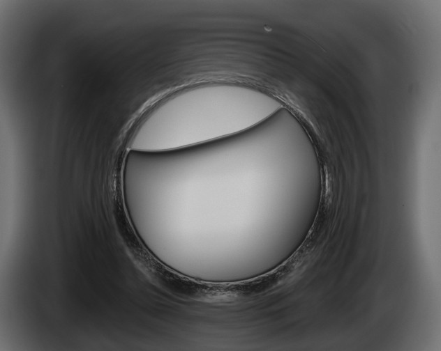 X0000085040348200703051029