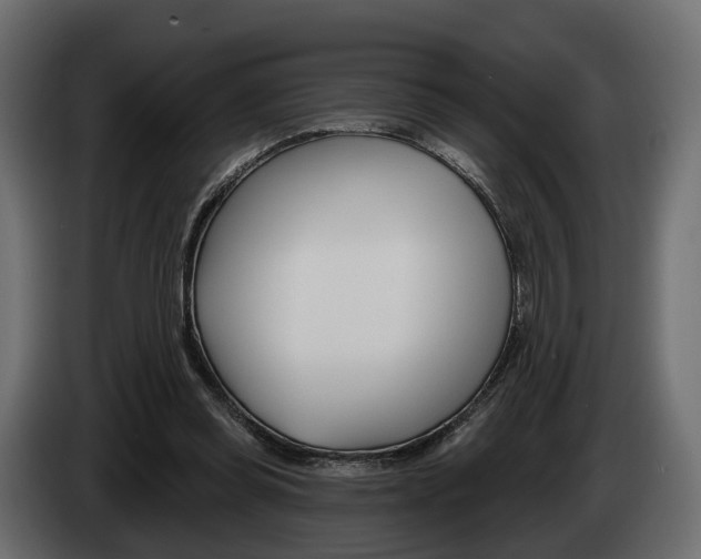 X0000085040349200703051029