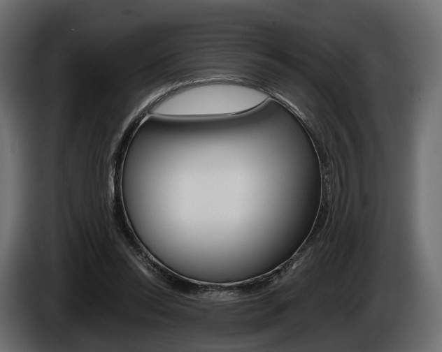 X0000085040350200703051030