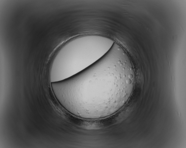 X0000085040351200703051030