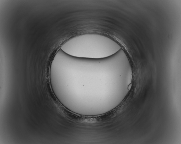 X0000085040353200703051030