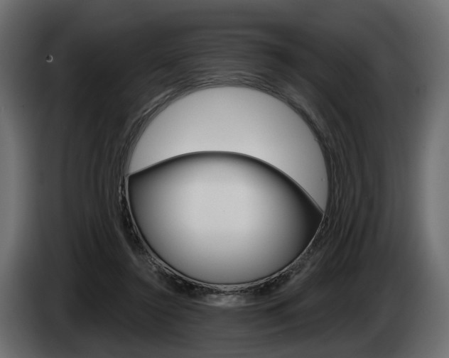 X0000085040356200703051030