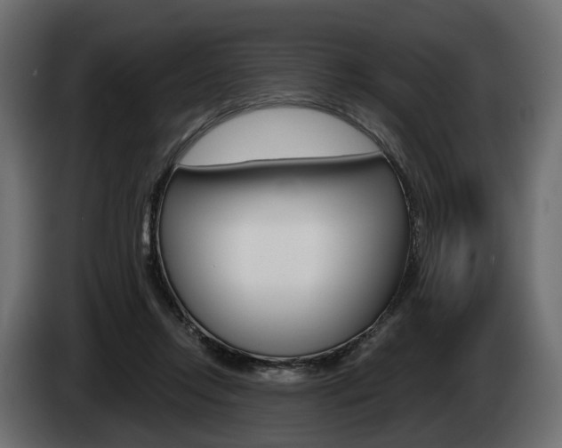 X0000085040358200703051030