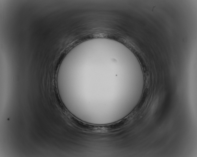 X0000085040363200703051030