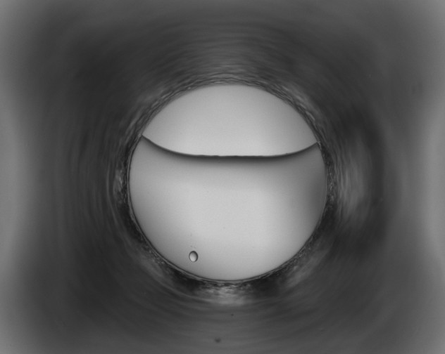 X0000085040365200703051030