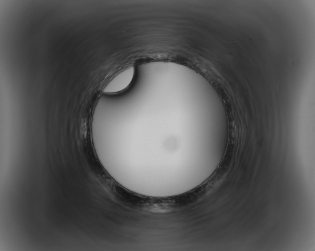 X0000085040368200703051030
