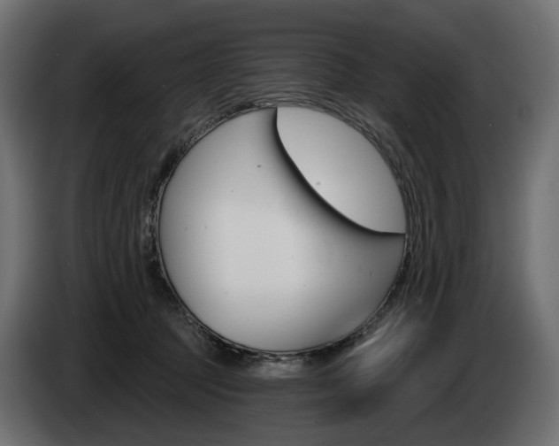 X0000085040369200703051030