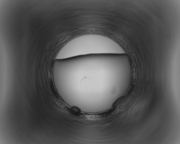 X0000085040371200703051030