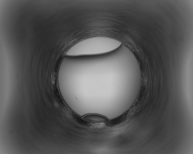 X0000085040374200703051030